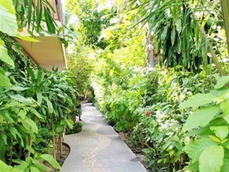 B2@Samui Beach Resort Παραλία Σαγουένγκ Εξωτερικό φωτογραφία